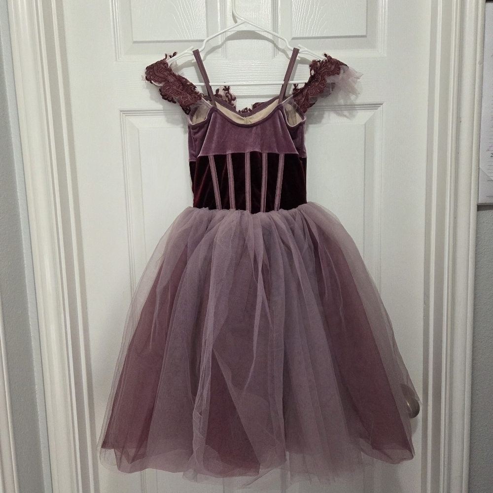 Revolution Dancewear Stretch Velvet floral-embroidered tulle Ballet Dress - Picture 2 of 10